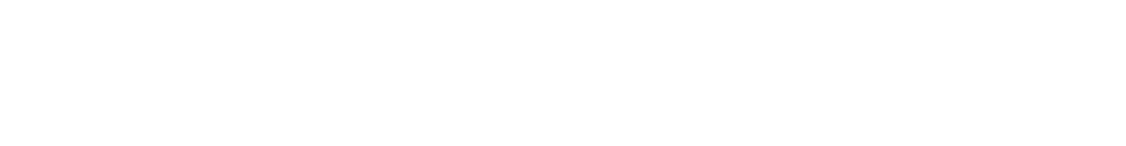Dual Dise&ntilde;o