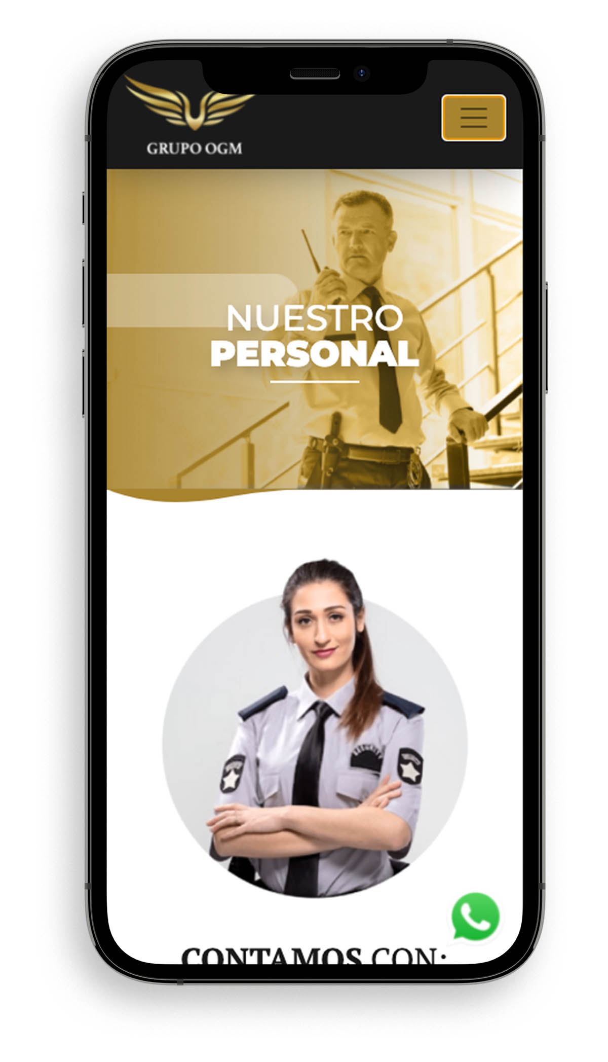 ogm_seguridad_dual_diseño
